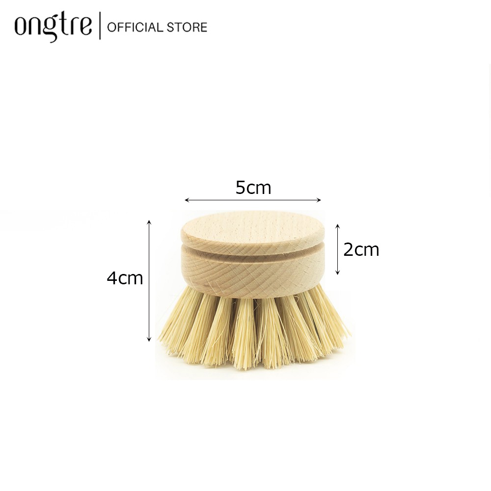 SKU-Cọ cán dẹt02